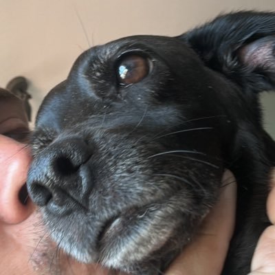 tolgaalan6's profile picture. 