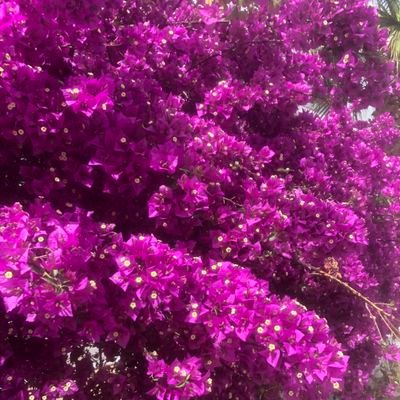 Yorum yapmak olaya dışarıdan bakanların lüksüdür. ( Ben herhangi biriyim. Bu yüzden yazdıklarımı ve söylediklerimi o kadar ciddiye almayın. )