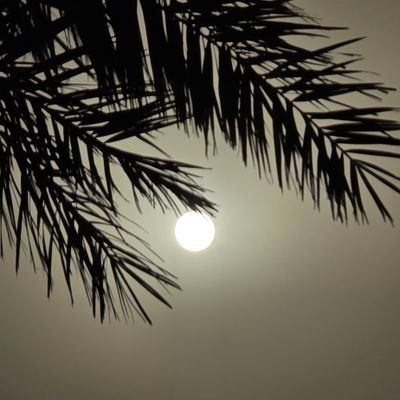 @M7MD997799