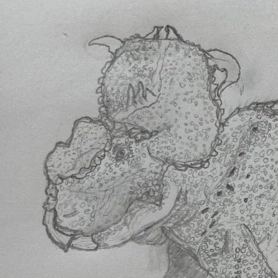 Hello! Amateur Paleoartist, Paleontological research student, 16
Kaiju, Paleontology, the Natural world. Pretty much it.