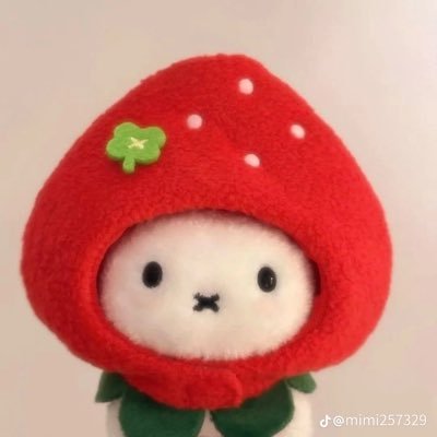 🩰₊ ⊹❀ May all my dreams come true .☘︎ ݁˖ ⋆˚✿˖° ꕤ🪽