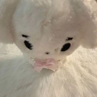 Ⲙiᴛᴢᴜᴋʏ_ (@kimytt_) 's Twitter Profile