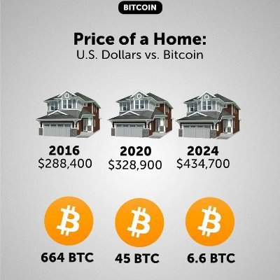 Vshan_crypto's profile picture. 