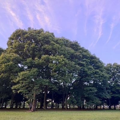 集団ストーカー、組織的嫌がらせ犯罪にあいだして10年以上。地元石川県から集ストが始まり、数年を経て都内→埼玉県→東京都の多摩寄りの地域へ。
何やっても効果無しでちょっと疲れ気味。
夏の100日咳?なのかな?絶賛咳込みがあり治らない。
歯科にも持病の医者にも行かないとです。
医療との繋がりが絶えないのが嫌🥶
