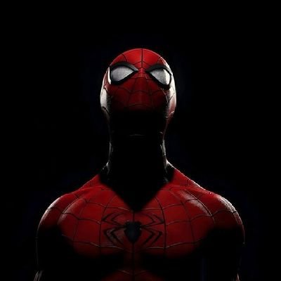 Dhruvxgoel's profile picture. 