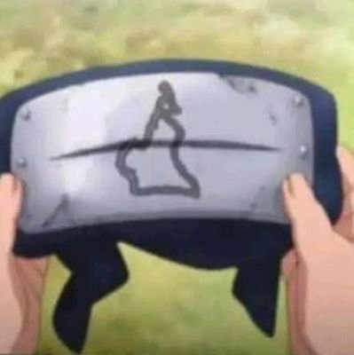 Parler de moi c'est bref . Je suis un bonhomme pas très grand très très grand fan de paris des anime et tout le tralala