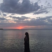 Havinnn (@havooo00) 's Twitter Profile