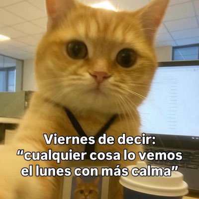 10_MBZ's profile picture. 