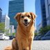 日本橋兜町の犬 (@ez1hr93glb40955) Twitter profile photo 日本橋兜町の犬 (@ez1hr93glb40955) Twitter profile photo