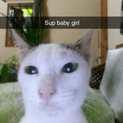 25 he/him | MDNI | FR/EN