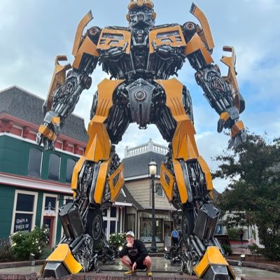 DetroitLionsMI's profile picture. Fan of the greatest 3-13-1 team of all time| #ThankYou9 | BLM |