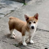 M-iso-S (@misos53381402) 's Twitter Profile