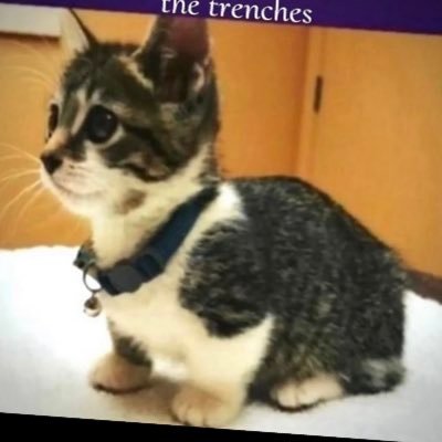 prodventure's profile picture. day 1 $aero holder 🫡🫡