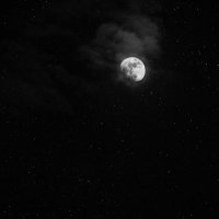 Manar♉︎. (@mnxr97) Twitter profile photo