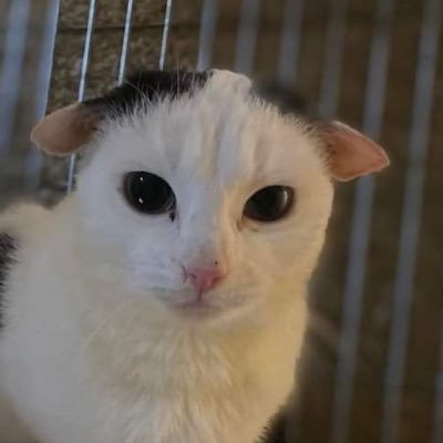 vtqn_'s profile picture. 18 | 🇲🇽 | diggin’ in my butt