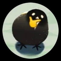 Chenando (@chenando14) 's Twitter Profile