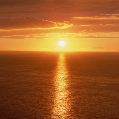 entity61701's profile picture. 