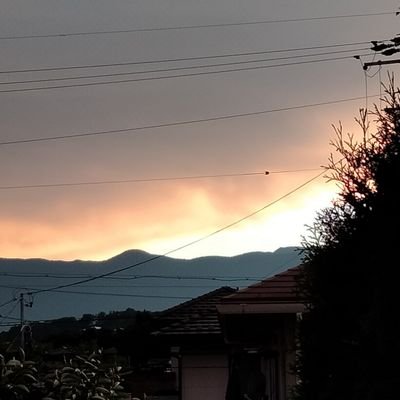 BtlK9Uo8y714988's profile picture. 