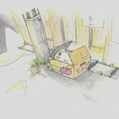 yeeeee111's profile picture. 