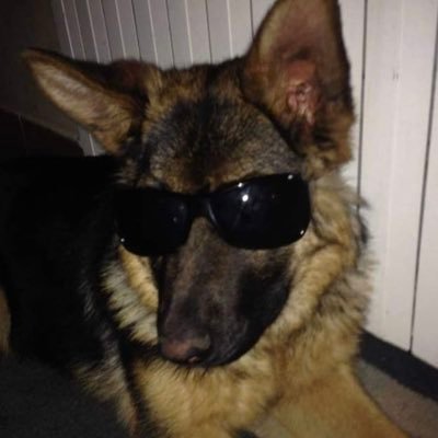 commongracew's profile picture. 19 | i like women and crafting evil schemes