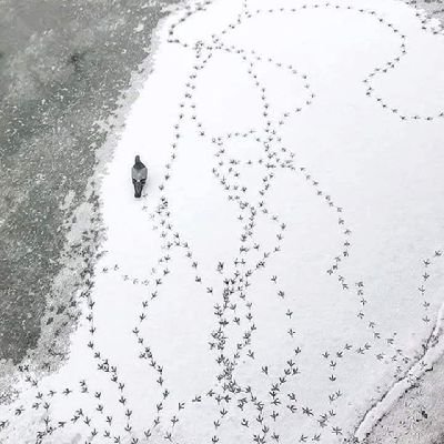 h5673084991881's profile picture. 정지되면죽인다씨발아
섹트아님