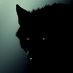 wolf land ☄️ (@zain32662) Twitter profile photo wolf land ☄️ (@zain32662) Twitter profile photo