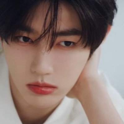 ˚⋆ ─ .✦ 𝙳𝟷, 𝙱𝚎 𝚝𝚑𝚎 𝙾𝚗𝚎! 𝙃𝙚𝙡𝙡𝙤 𝙒𝙚 𝙖𝙧𝙚 𝙕𝙚𝙧𝙤𝙗𝙖𝙨𝙚𝙤𝙣𝙚! | 𝚃𝚠𝚎𝚗𝚝𝚢 𝙵𝚘𝚞𝚛 𝚂𝚎𝚟𝚎𝚗 𝚆𝚒𝚝𝚑 𝚄𝚜 𝙃𝙚𝙡𝙡𝙤 𝙒𝙚 𝙖𝙧𝙚 𝙏𝙒𝙎!