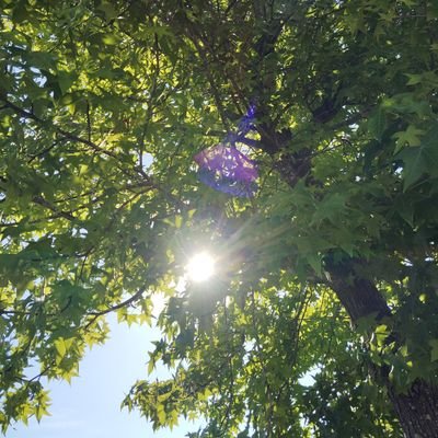 sachi3623's profile picture. fammスクール8月期卒業しました✨在宅フリーランス目指して頑張ります、よろしくお願いします😄