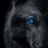 Bluize69's profile image