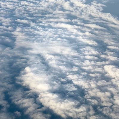 Anythingfr76011's profile picture. Hung shemale goon addict #tranny #shemale I love a big dick tranny I love my Tranny milk feed this shemale cuck