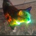 apathy cat🐈⬛ (@losertrannylife) Twitter profile photo apathy cat🐈⬛ (@losertrannylife) Twitter profile photo