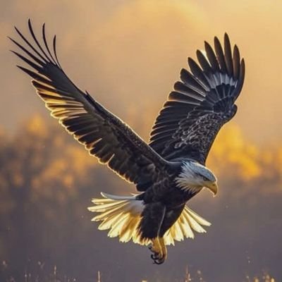صــبــور انــا گ طــفــل رأى دمــيــه مــن خــلف الزجــاج ،،، ف إحــتــرم فــقــره ،،،
وإنــصــرف ☺️