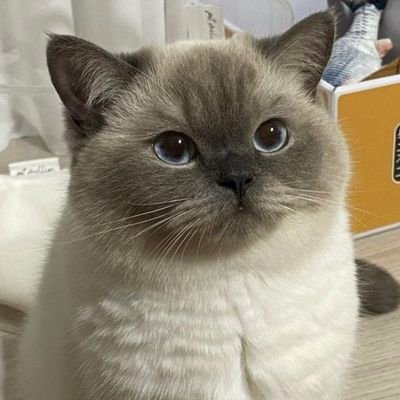 akun campur aduk 👀
co shopee 👇🏻 https://t.co/Jb77zIW6Am