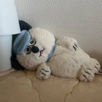 ずんぐり (@sem40a6tdis20vd) 's Twitter Profile