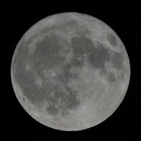 架空線 (@youwim) Twitter profile photo