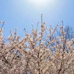 michino_hope's profile picture. はなまる笑顔の時間を少しでも多く🍀今よりたくさん、善知識の方々に触れ合えますように✨学園・創大卒🪩相棒(フルート)は、PearlとMIYAZAWA🎵