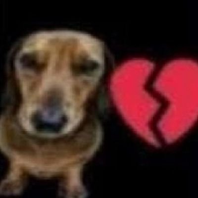 RATOTHEVINI's profile picture. 