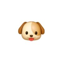 🐶♥️ (@if9jw2mwmw15221) 's Twitter Profile