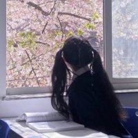 MamieKitto (@i82pzm7tya9zrl2) 's Twitter Profile