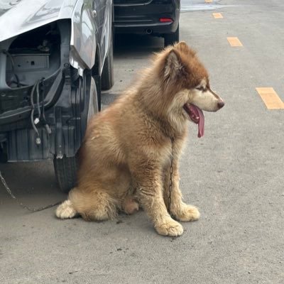 ppoykmw's profile picture. 