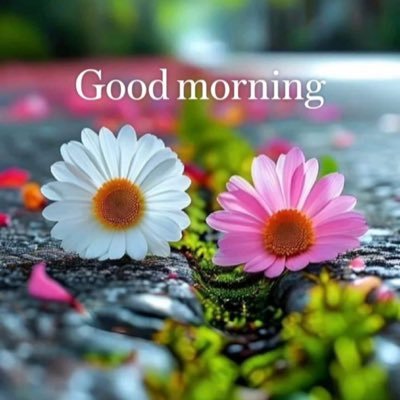 srnbhushan's profile picture. i am