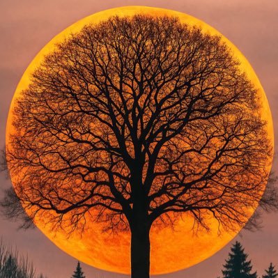 DeeJayeKaye's profile picture. 👍