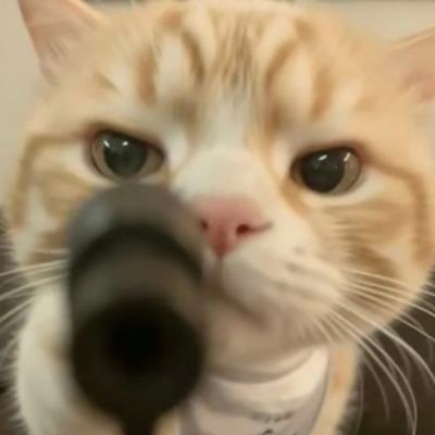 yryuyn1's profile picture. 