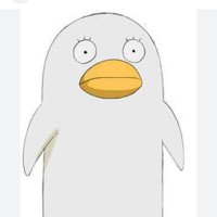 ちかちゅ (@bpp5fbcdent3jk0) 's Twitter Profile