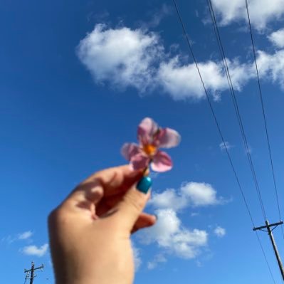 Ikaaarly14's profile picture. 