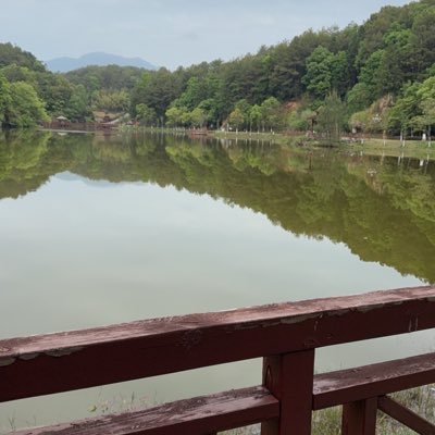 shilb1758's profile picture. 加密货币爱好者，最大的愿望就是赚到足够的金钱实现自己的人生梦想！接下来会开始推荐优质土狗，绝不推荐垃圾CA(仅供参考，不作为投资建议)。有兴趣的可以关注一下