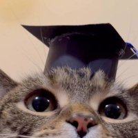 Paowiee,rpm2025 (@paowieeisstudy) 's Twitter Profile