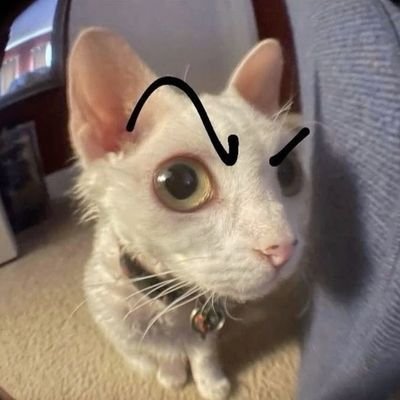 jake4sss's profile picture. act broke to stay rich.