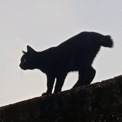 Migrane35's profile picture. 