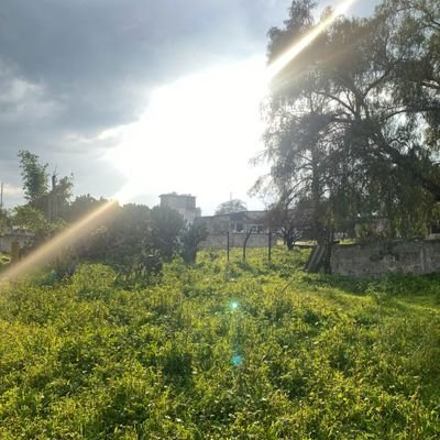 Francis86459161's profile picture. 